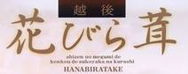 Our products are dired Hanabiratake Mushroom Powder 100%